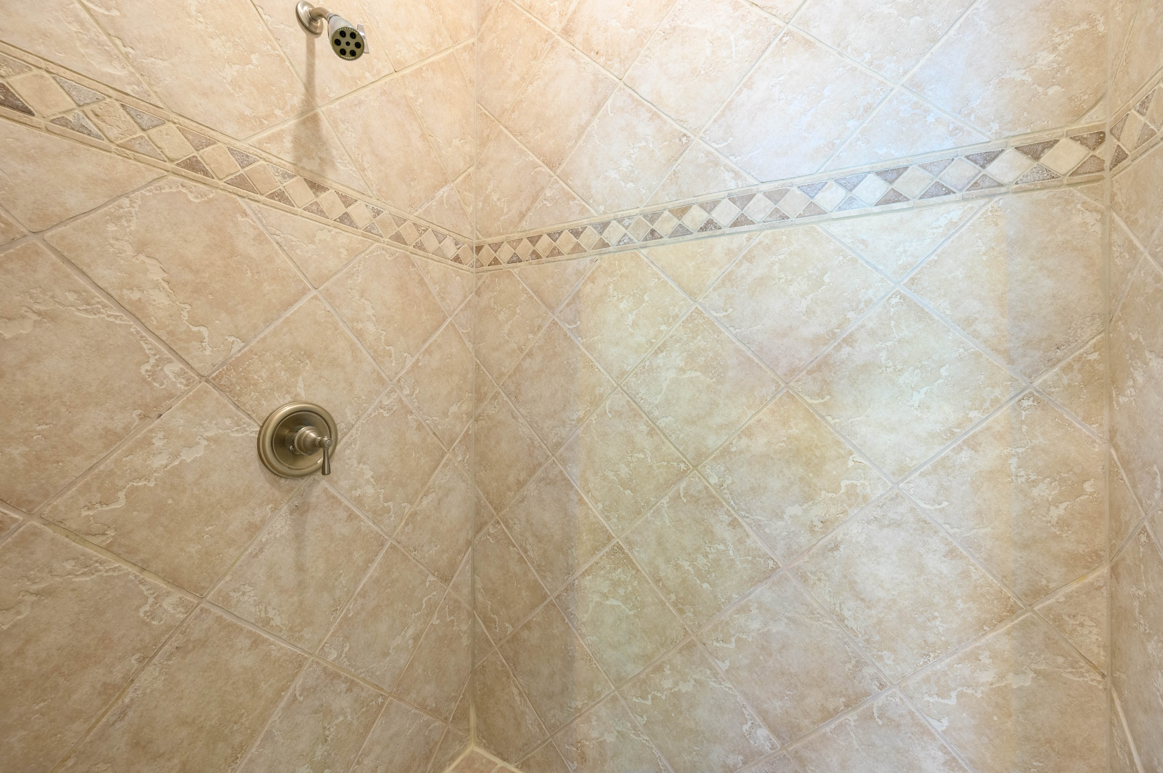1030 Alanson Court image 32